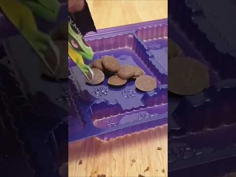 Dairy Milk Chocolate Buttons #shorts #dairymilk