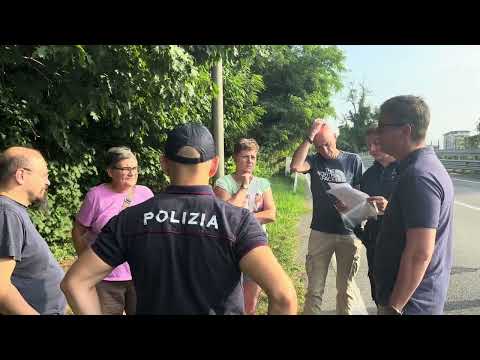 La protesta contro il taglio degli alberi a Gallarate