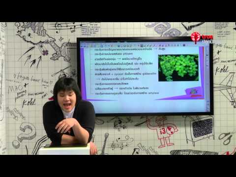 โรคสะเก็ดเงินเท้าแตก การขาดธาตุเหล็กในโรคสะเก็ดเงิน