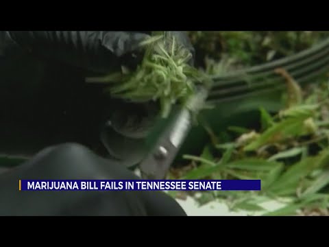 Medical marijuana bill fails in Tennessee Senate