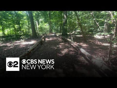 New network of nature trails unveiled in Brooklyn's Prospect Park