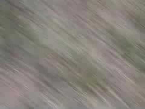 RC4WD Monster Truck Preliminary test