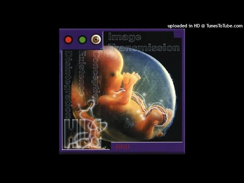 Image Transmission - bound to die