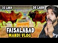 75 LAKH K Janwar 😲 Faisalabad Mandi Vlog!