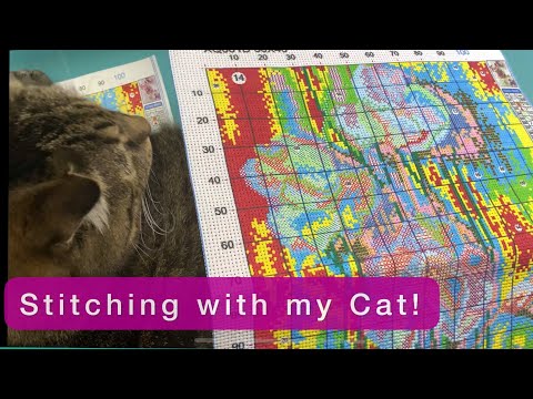 NEW START! Stamped Cross Stitch Kit - Stitching In Hand sewing method Flosstube