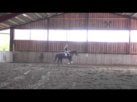 Schillmann-2012-Iberio 1