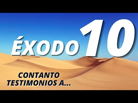 Bible Study Exodus 10 Tell Your Children │ Chapter Reflection