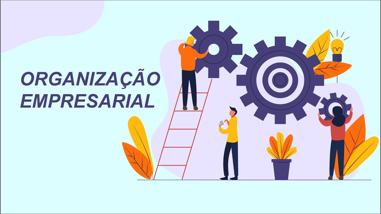 Organização Empresarial - Aula 1