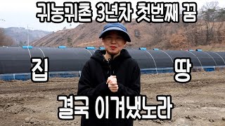 귀농귀촌 3년차 참동이 근황