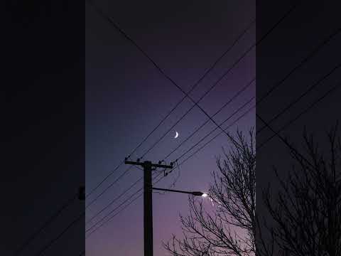 Zelda's Lullaby with Rain