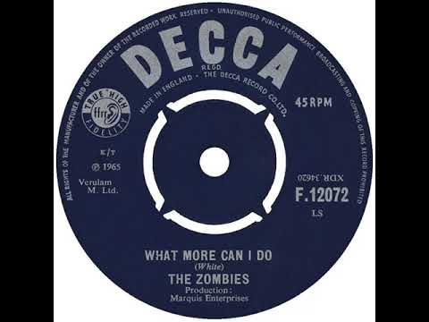 (3b) Zombies - What More Can I Do