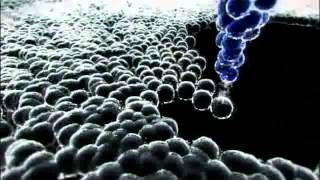DO MICRO AO NANO-MUNDO - Documentário (2009)
