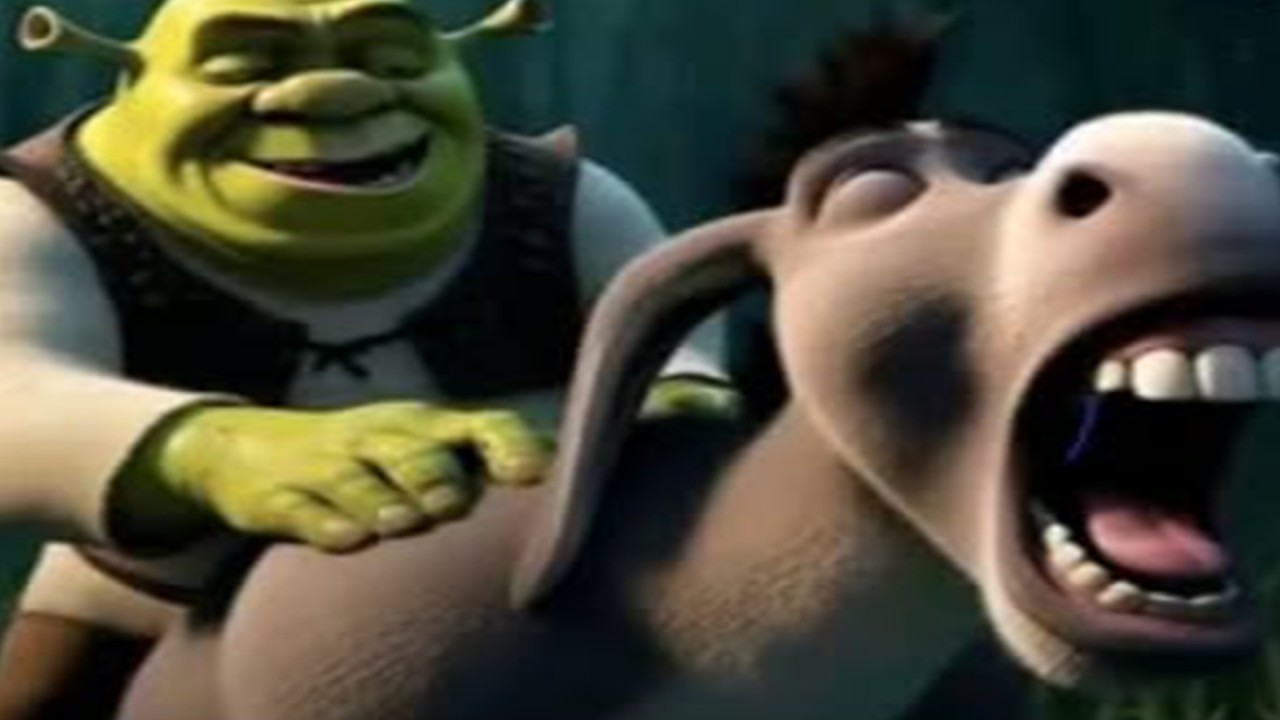 Memes that are 10/10