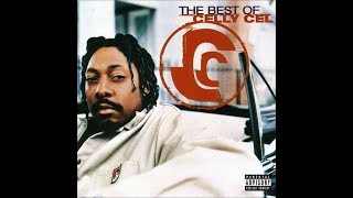 Celly Cel  - It&#39;s Goin&#39; Down 30 to 49hz