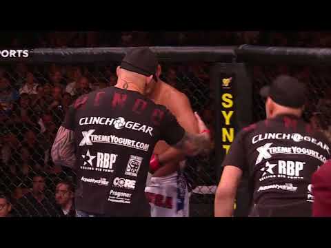 Henderson vs Bisping 1 ufc100