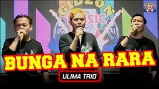Download lagu BUNGA NA RARA - COVER LIVE ULIMA TRIO - GMP LIVE mp3 Download lagu BUNGA NA RARA - COVER LIVE ULIMA TRIO - GMP LIVE mp3