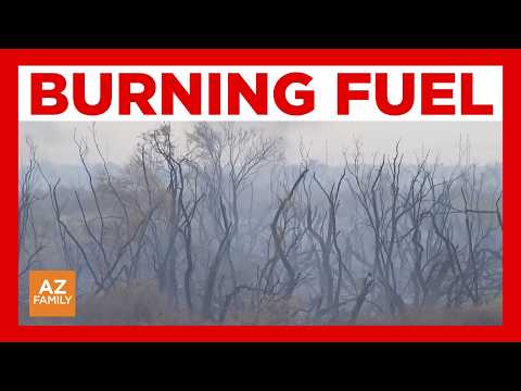 Why firefighters have struggled to put out the Hazen Fire near Buckeye