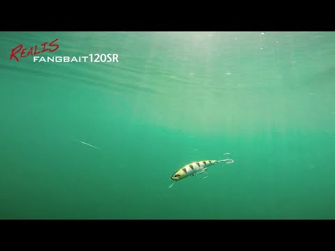 DUO`s Lures in Motion: Realis Fangbait 120SR