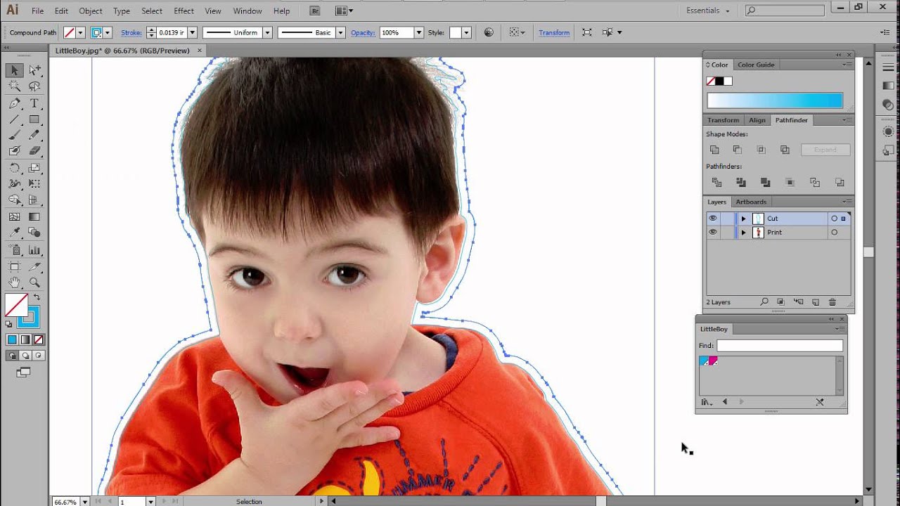 Compare Illustrator vs SAi Flexi for Contour Cutting & More