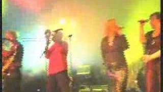 Back in the Groove live