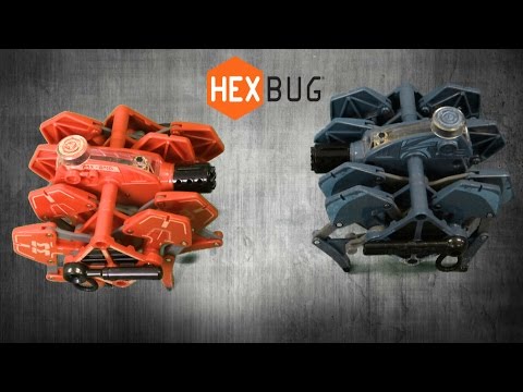 download lagu mp3 mp4 Hexbug Battle Ground Tarantula, download mp3 Hexbug Battle Ground Tarantula free download mp3, download mp3 Hexbug Battle Ground Tarantula