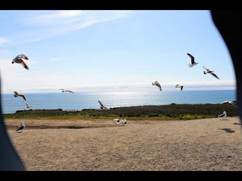 Palabras De Un Corazón - Jose Gabriel y Francisco Ruiz