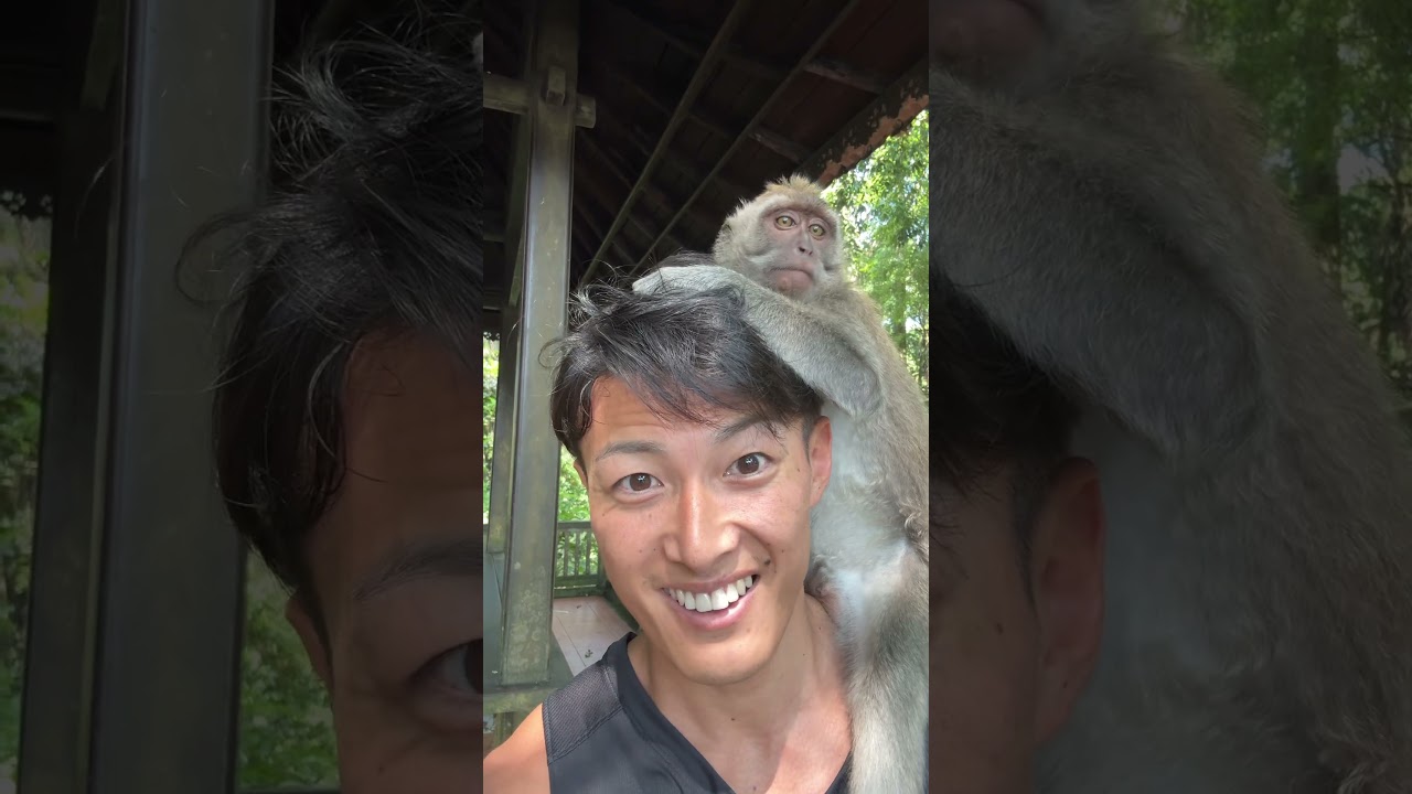 パンチくん…？🐒