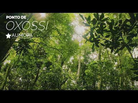 Capa do vídeo: Olha o meu passarinho azulão