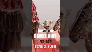 Cairo & Alexandria Escape 6 Day Tour from Cairo to Cairo #travelvlog #travel #cruisetour