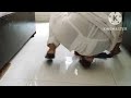 How Difficult It Is To Stay Alone In The House A Man Enters And Misbehaves