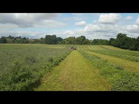 Kubota cutting lucerne in drought