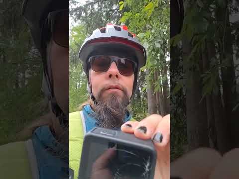 Nyt kävi näin että harmitaa