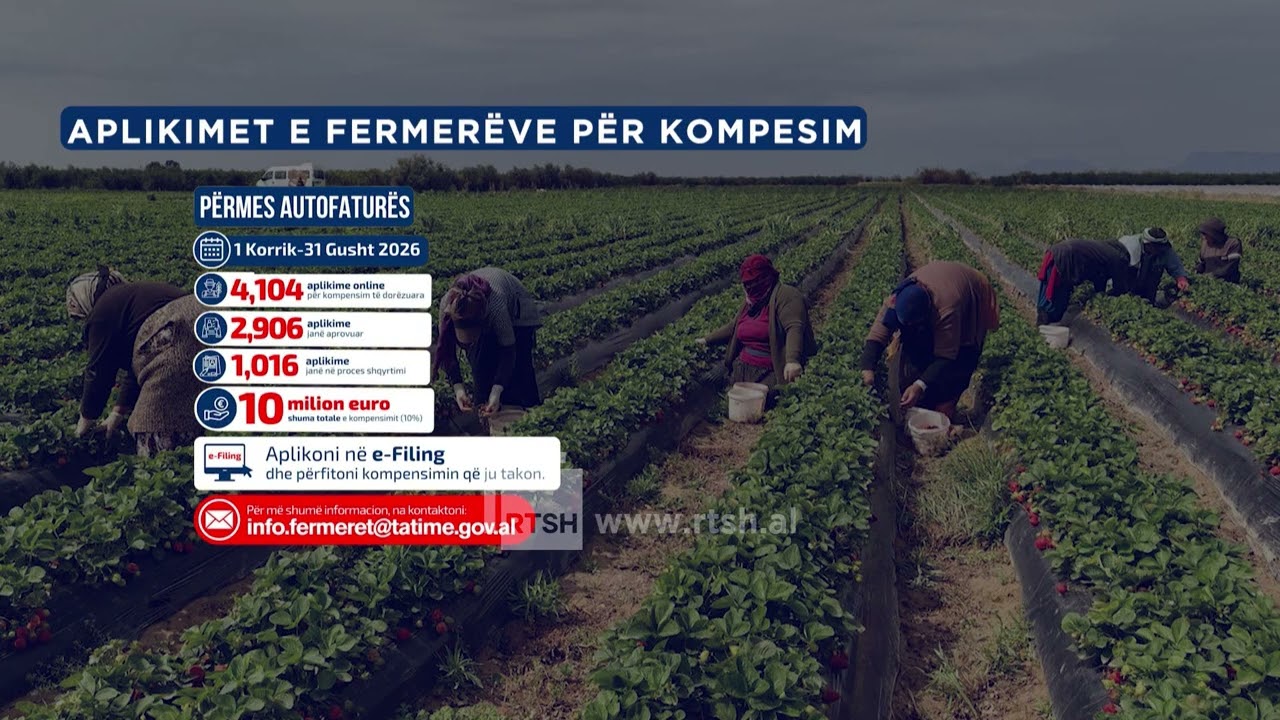 Kompensimi i fermerëve përmes autofaturës, Administrata Tatimore, mbi 4 mijë aplikime në 2 muaj