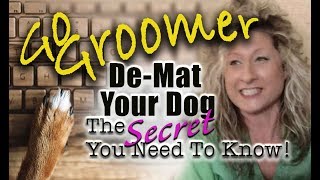 De-Mat your Dog-The Secret you need to know!