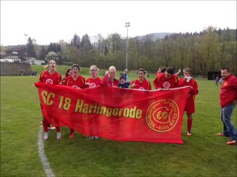 SC 18 olé... Der rot-gelbe Spieler