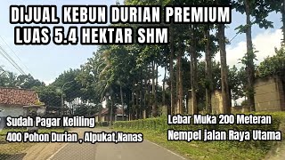 Download lagu FOR SALE: 5.4 Hectare Premium Durian Plantation, Freehold, Adjacent to Main Road, Surrounded by F... mp3