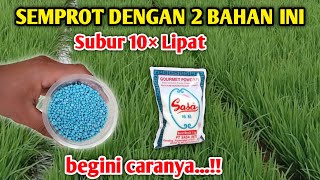 Download lagu Luar biasa hasilnya pakai sedikit aja Jadi super POWER pupuk NPK 16 16 16 mp3 Download lagu Luar biasa hasilnya pakai sedikit aja Jadi super POWER pupuk NPK 16 16 16 mp3