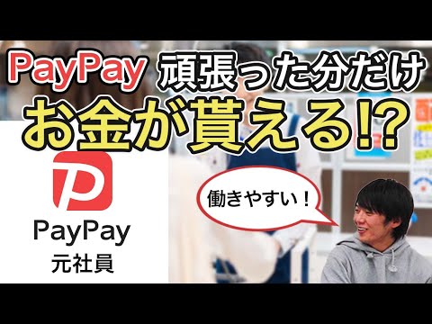 【後編】PayPayってどのくらい稼げるの？？（年収・雰囲気・アドバイス）