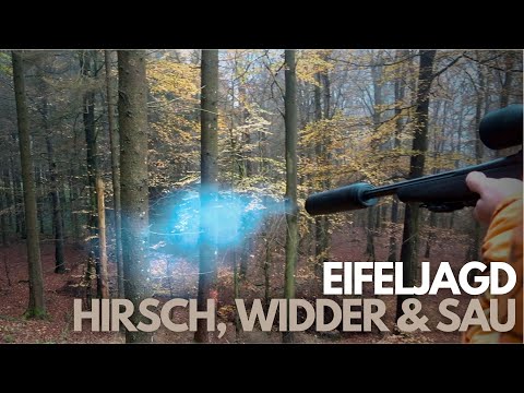 Hirsch, Widder und Sau I Jagd in der Eifel 2022