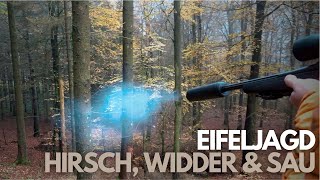 Hirsch, Widder und Sau I Jagd in der Eifel 2022