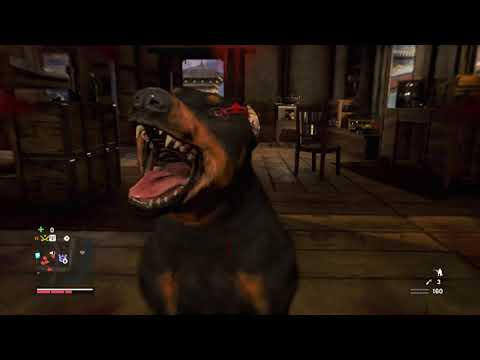 Zagrajmy w Far Cry 4 odc.26 Oczyszczenie fortecy De Pleura