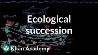 Ecological succession | Middle school biology | Khan Academy