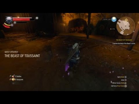 How to Kill Bruxa Boss - The Witcher 3 Blood and Wine Dlc