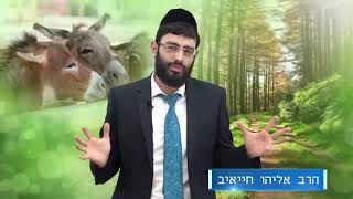 תשעה באב - שובו בנים שובבים - הרב אליהו חייאיב
