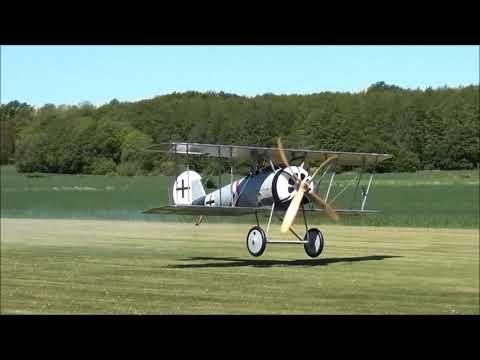Mikael Carlson Pfalz D.VIII - Maiden Flight