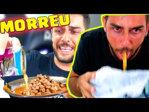 COMI COMIDA DE GATO POR CAUSA DO YOUTUBER - CLASH ROYALE (QUASE MORI)