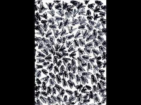 Spider and the Flies - Radiohead Remix