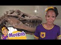 Blippi Meekah S Dino Discovery Learning Videos For Kids Education Show For Toddlers
