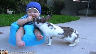 Life&#39;s rough Kid... Bunny Steals Baby’s RITZ Cracker | TexasGirly1979