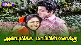 Download lagu Anbumikka Mappillaikku Song HD | அன்புமிக்க மாப்பிள்ளைக்கு | Engal Kula Deivam | MSV | Muthuraman. mp3 Download lagu Anbumikka Mappillaikku Song HD | அன்புமிக்க மாப்பிள்ளைக்கு | Engal Kula Deivam | MSV | Muthuraman. mp3